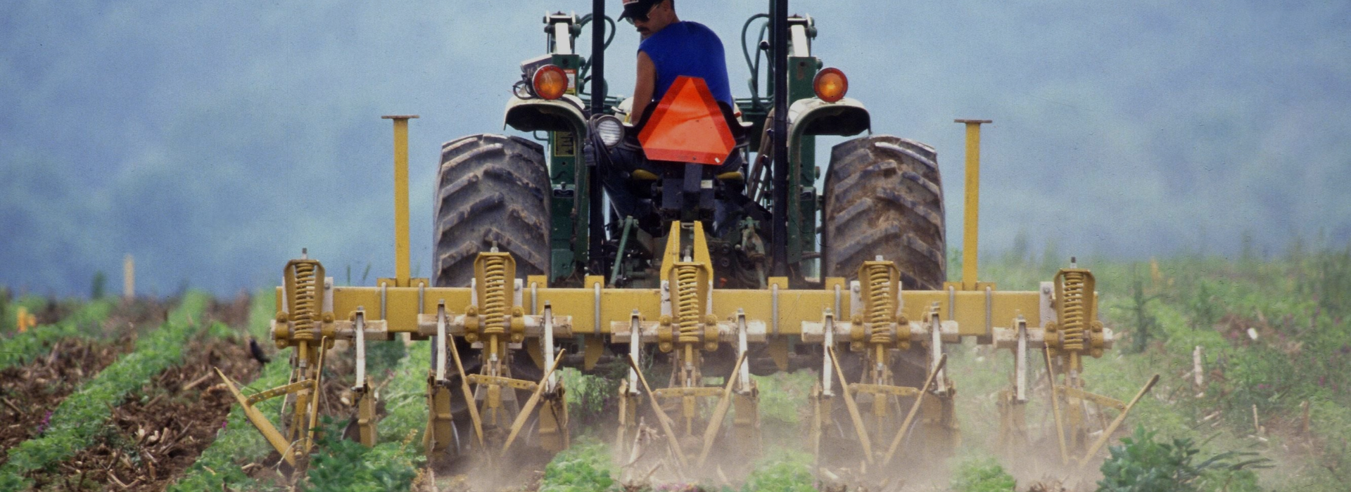 zdjęcie cała szerokość