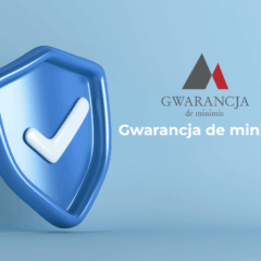 Gwarancja de minimis PLD-KFG