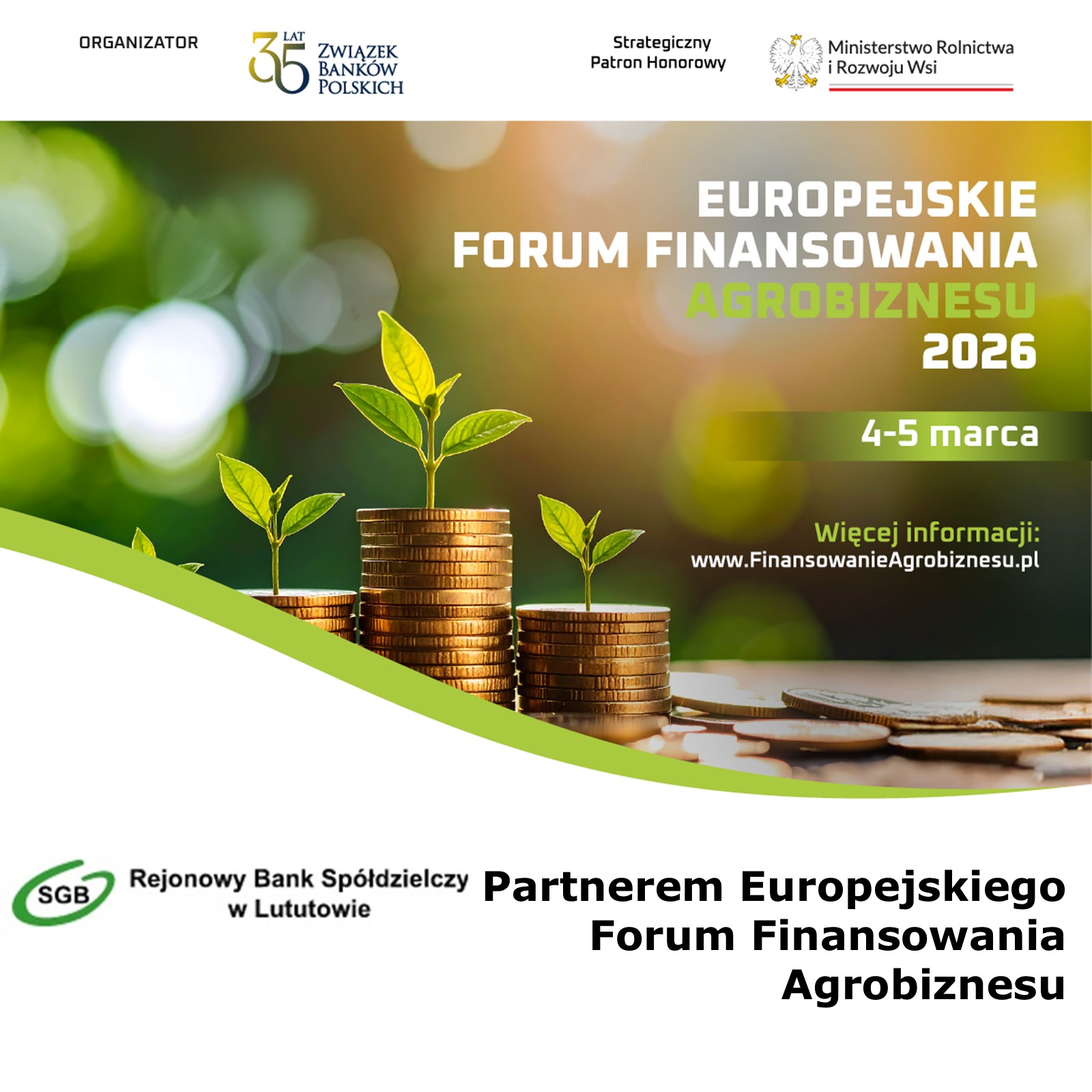 zdjęcie cała szerokość