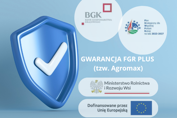 grafika ozdobna